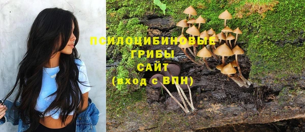 меф VHQ Рославль