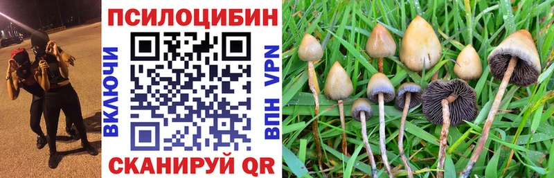 Псилоцибиновые грибы мицелий  наркота  Сокол 