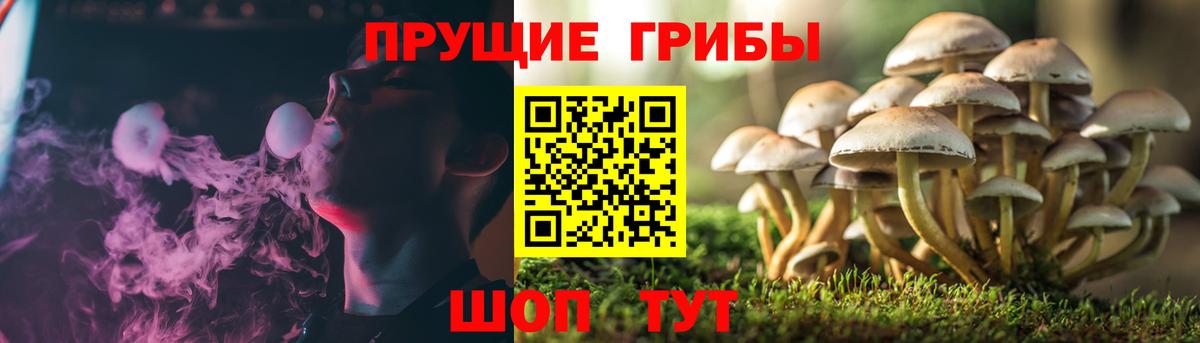 Галлюциногенные грибы мицелий  Вход с VPN  Сокол 